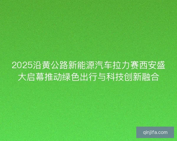 2025沿黄公路新能源汽车拉力赛西安盛大启幕推动绿色出行与科技创新融合 2025沿黄公路新能源汽车拉力赛西安盛大启幕推动绿色出行与科技创新融合