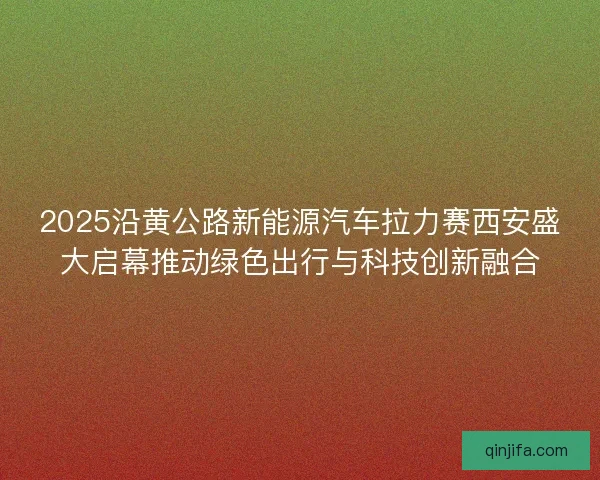 2025沿黄公路新能源汽车拉力赛西安盛大启幕推动绿色出行与科技创新融合