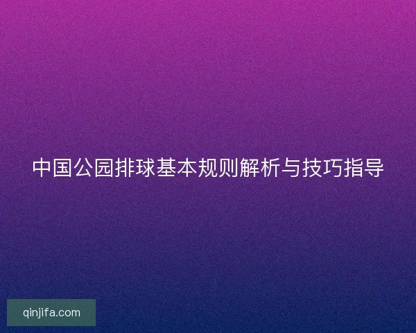 中国公园排球基本规则解析与技巧指导