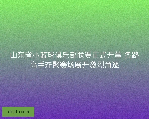 山东省小篮球俱乐部联赛正式开幕 各路高手齐聚赛场展开激烈角逐 山东省小篮球俱乐部联赛正式开幕 各路高手齐聚赛场展开激烈角逐